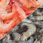 Differences between shrimps and prawns