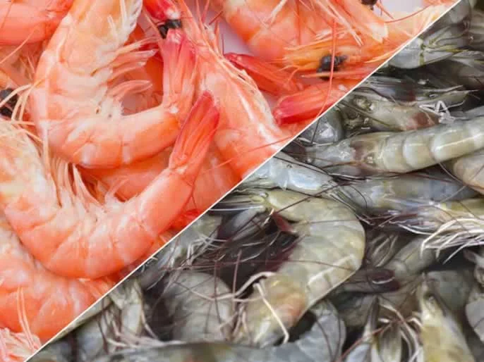 prawn shrimp difference