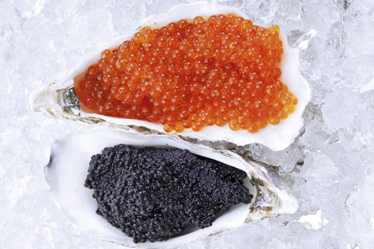 caviar-homepage
