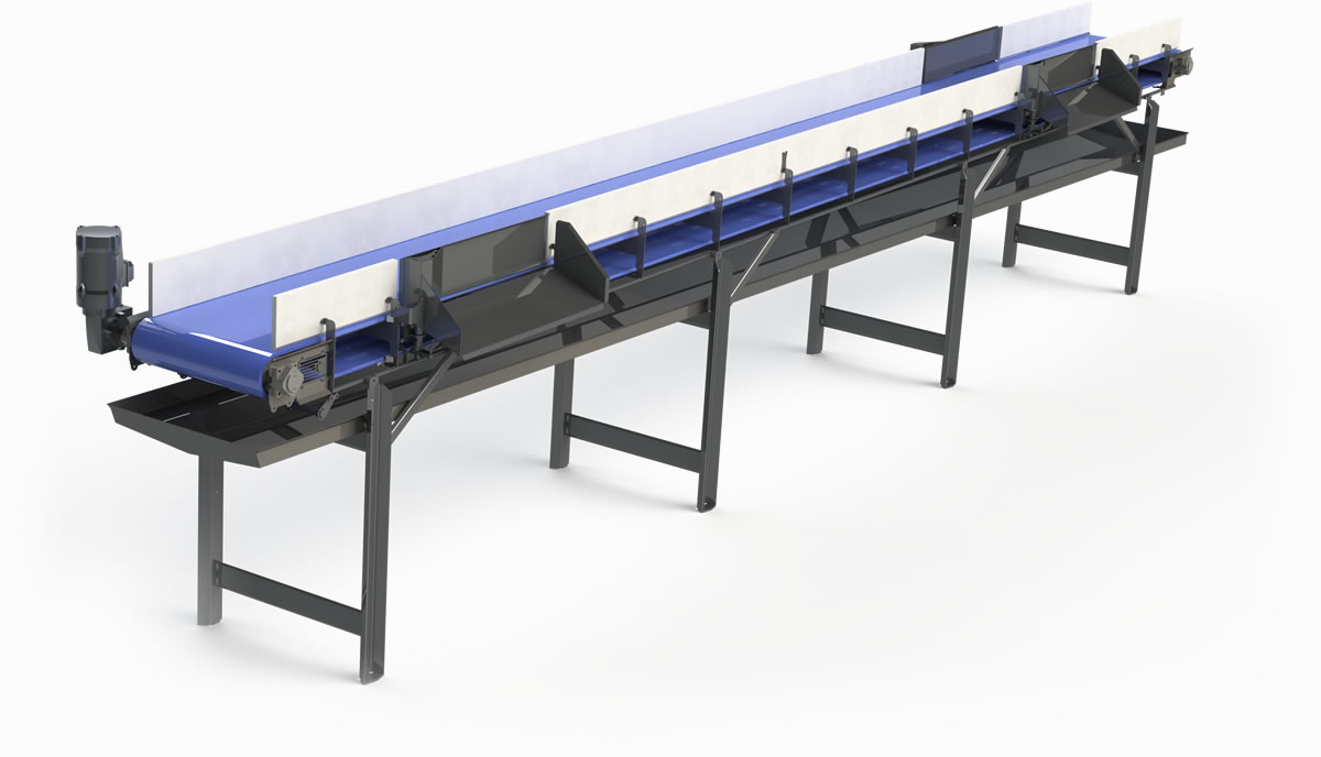 Conveyors for the food industry