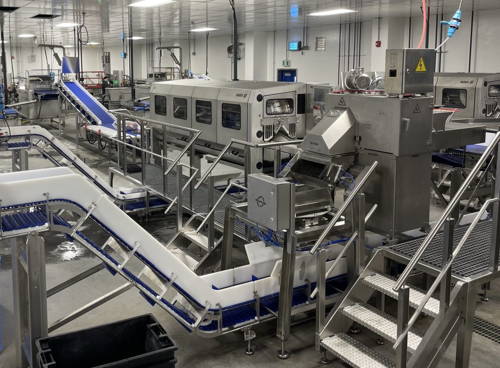 Martak seafood processing machinery