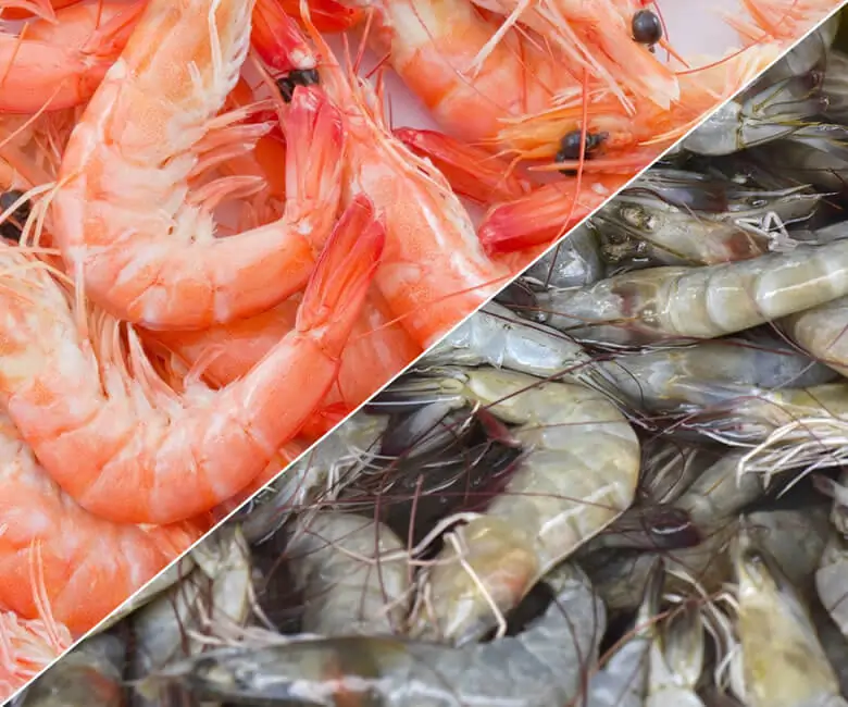 Shrimp processing solutions - Martak